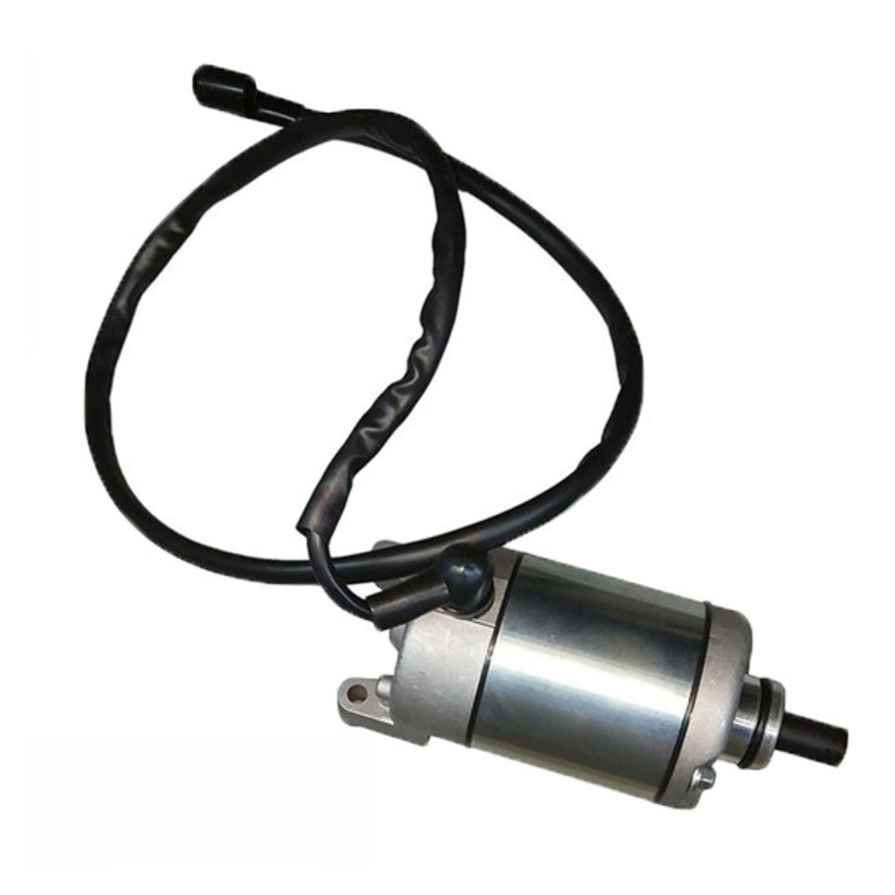Zet 310-x 310-r 310-t用のオリジナルの電 - Motorcycle Starter Motor のレビューと価格